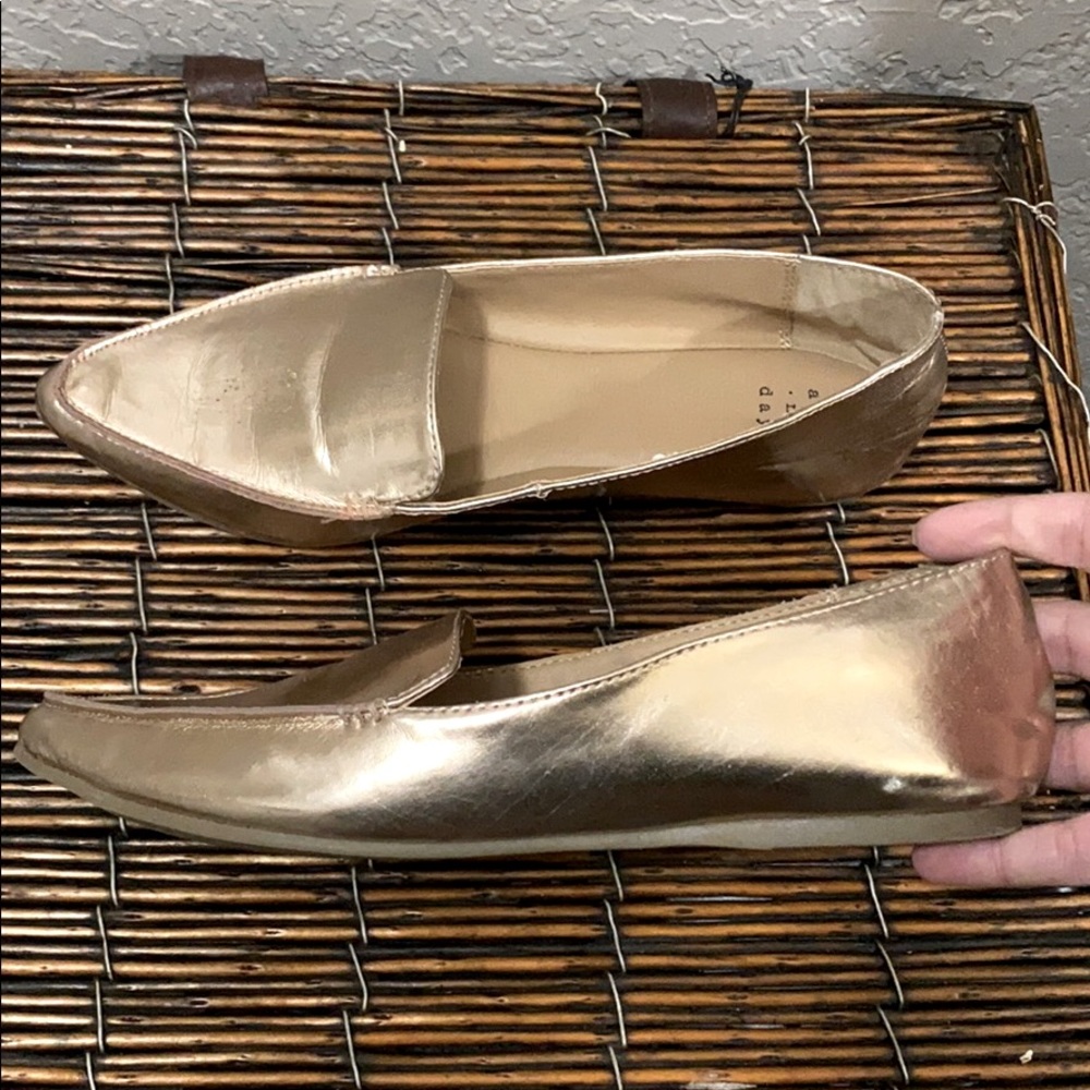 Shiny Flats